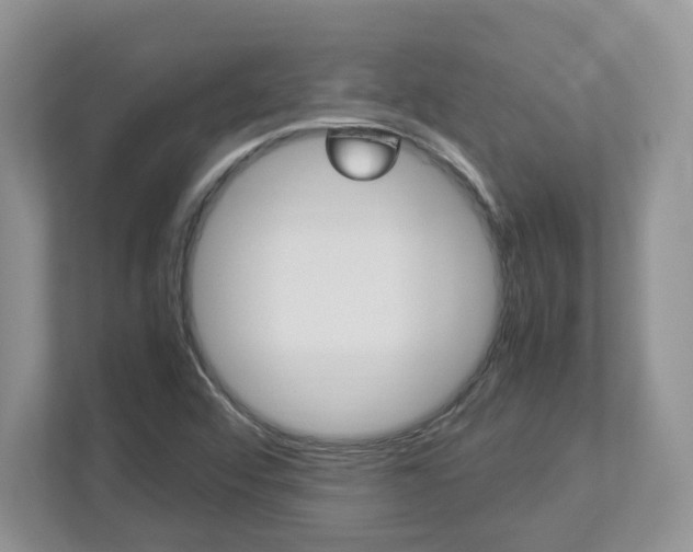 X0000112951456200908241017