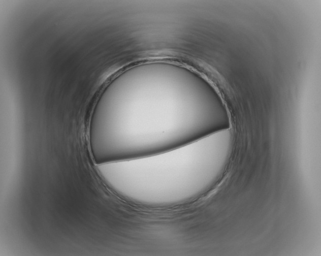 X0000112951457200908241017