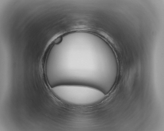 X0000112951458200908241017