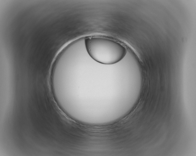 X0000112951460200908241017