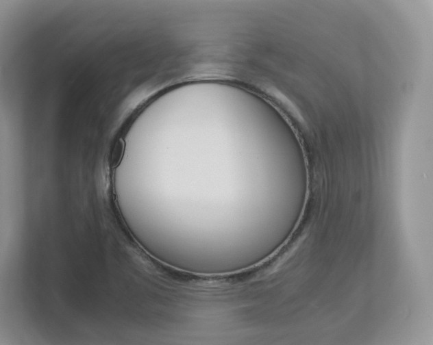 X0000112951461200908241017