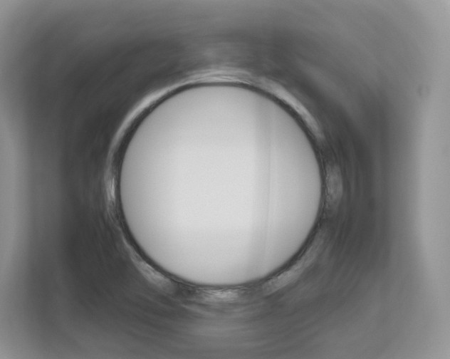X0000112951462200908241017