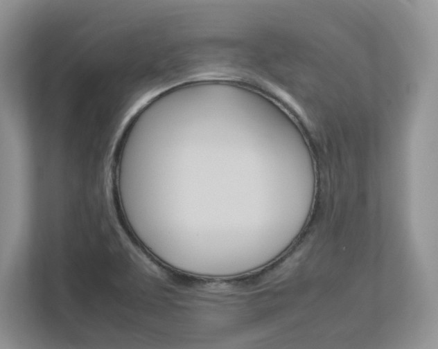 X0000112951463200908241017