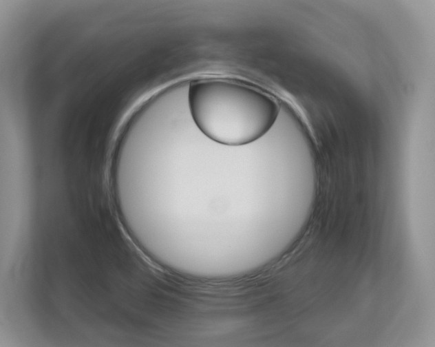X0000112951464200908241017