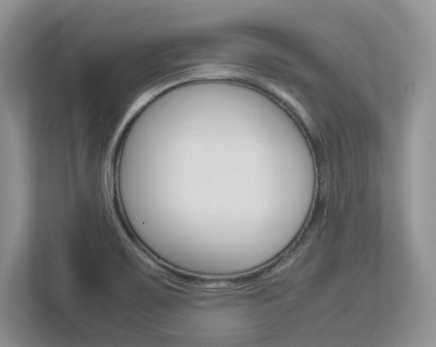 X0000112951467200908241017