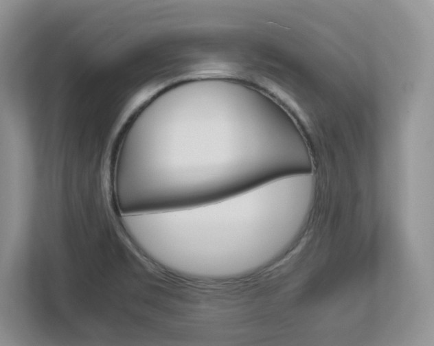 X0000112951469200908241017