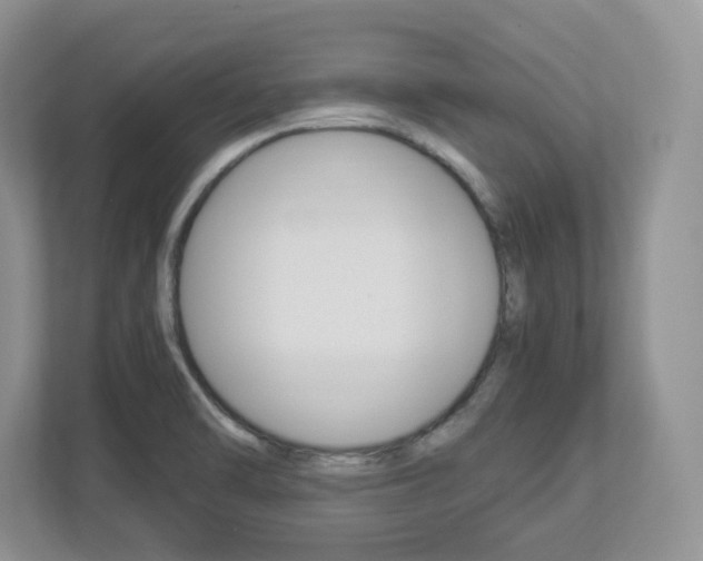 X0000112951470200908241017