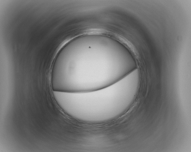 X0000112951473200908241017