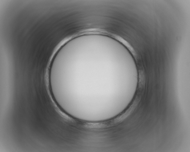 X0000112951474200908241017