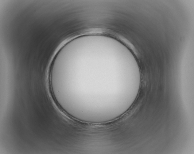 X0000112951475200908241017