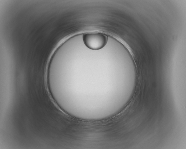 X0000112951477200908241017