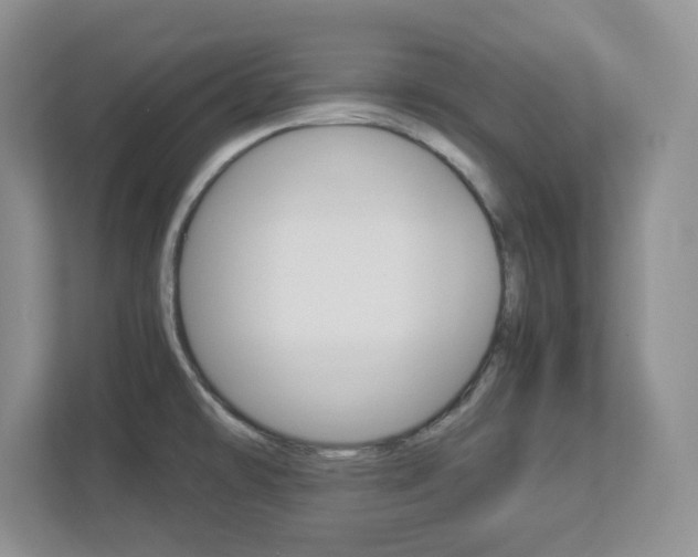X0000112951478200908241017