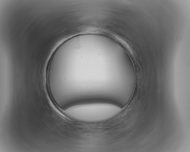 X0000112951479200908241017