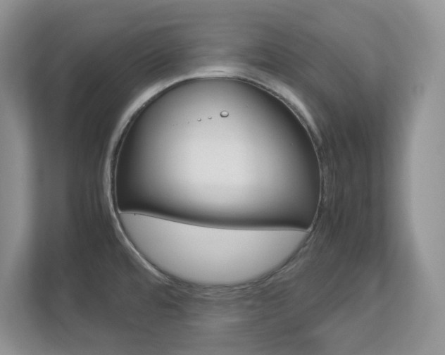 X0000112951480200908241017