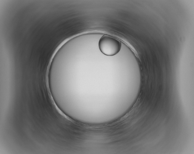X0000112951484200908241017