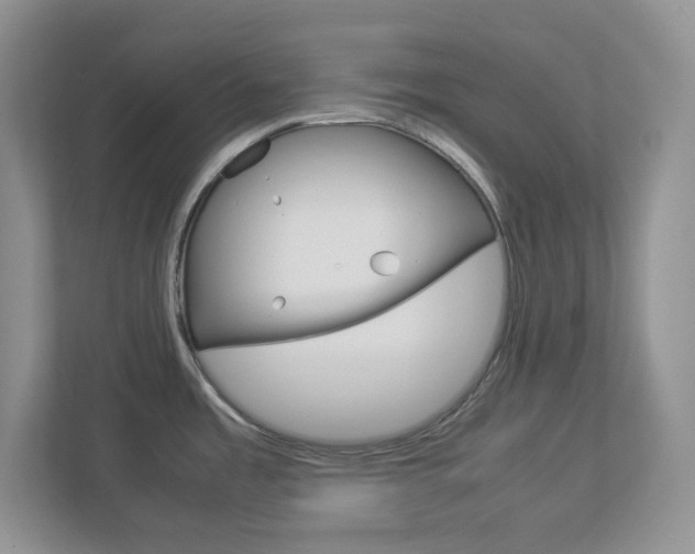 X0000112951485200908241017