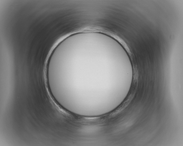 X0000112951486200908241017