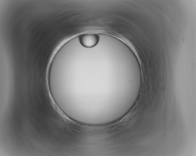 X0000112951488200908241017