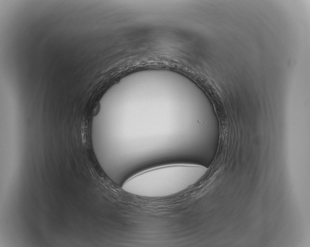 X0000112951490200908241016