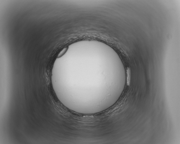 X0000112951491200908241016