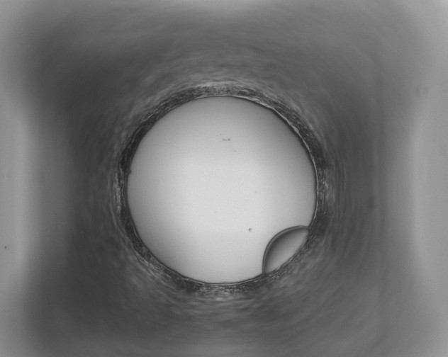 X0000112951493200908241016