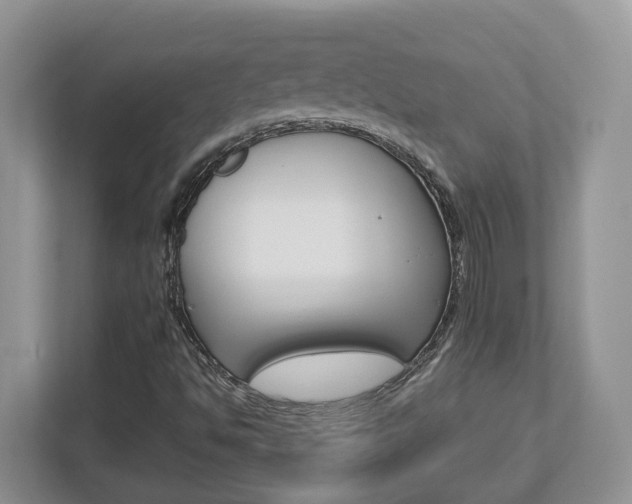 X0000112951494200908241016