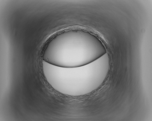 X0000112951496200908241016