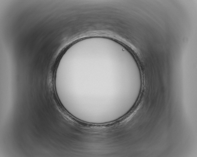 X0000112951498200908241016