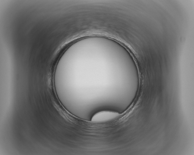 X0000112951499200908241016
