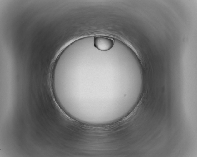 X0000112951500200908241016