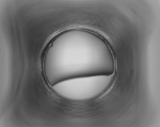 X0000112951501200908241016