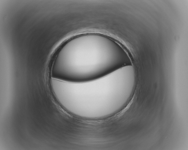 X0000112951502200908241016
