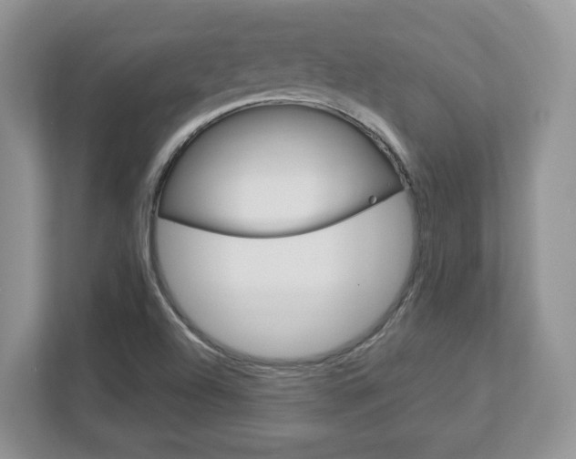 X0000112951504200908241016