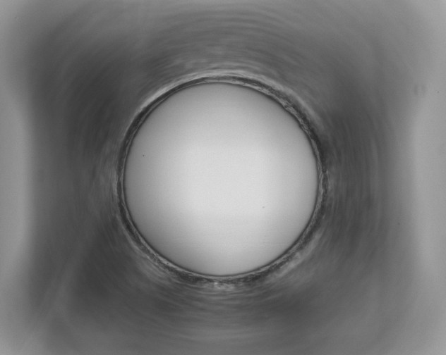 X0000112951505200908241016