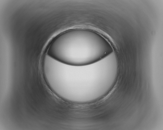 X0000112951506200908241016