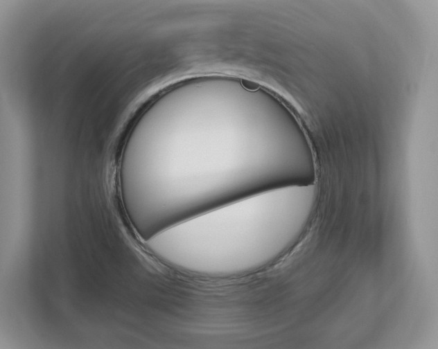 X0000112951507200908241016