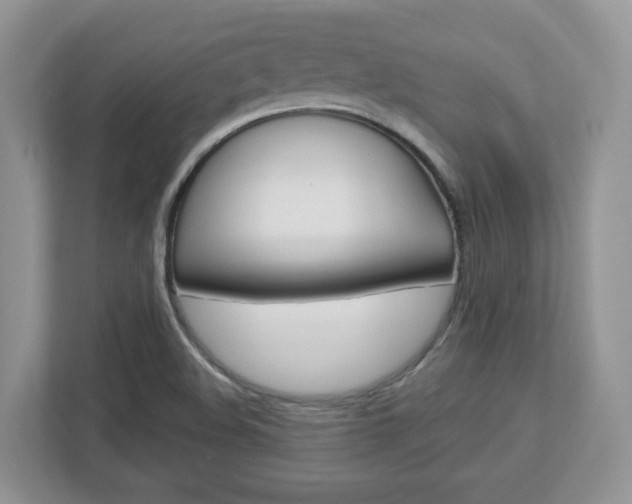 X0000112951508200908241016