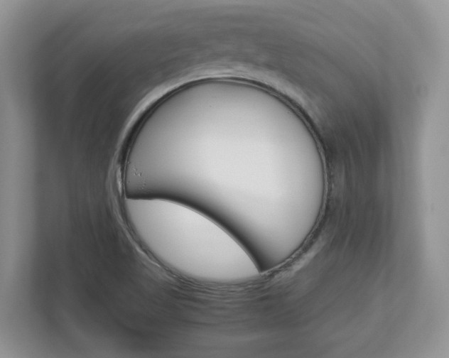X0000112951509200908241016