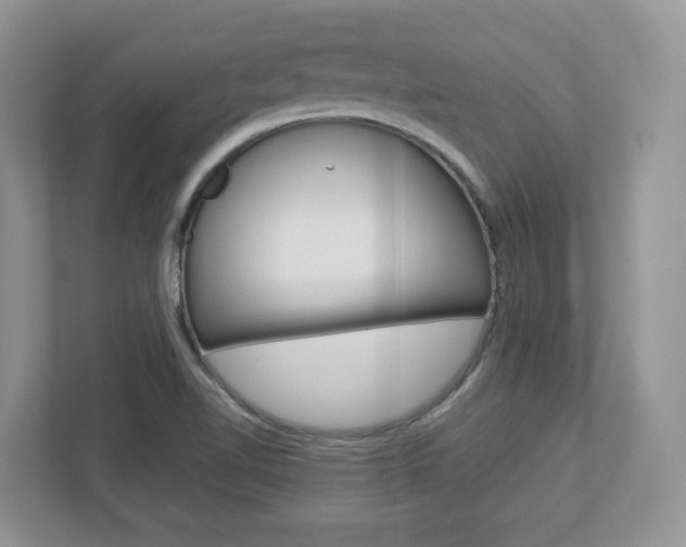 X0000112951510200908241016