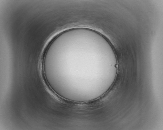 X0000112951511200908241016