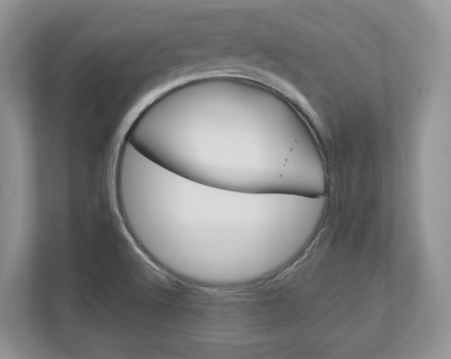 X0000112951512200908241016