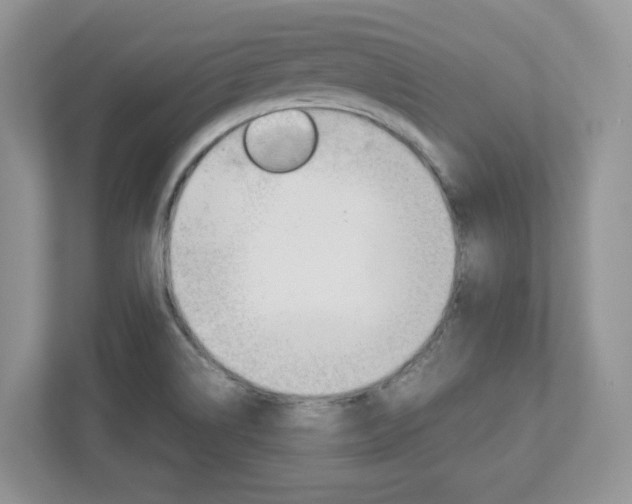 X0000112951514200908241016