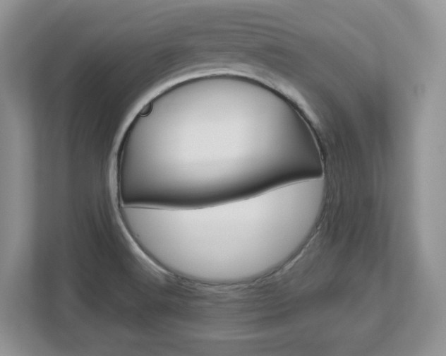 X0000112951516200908241016