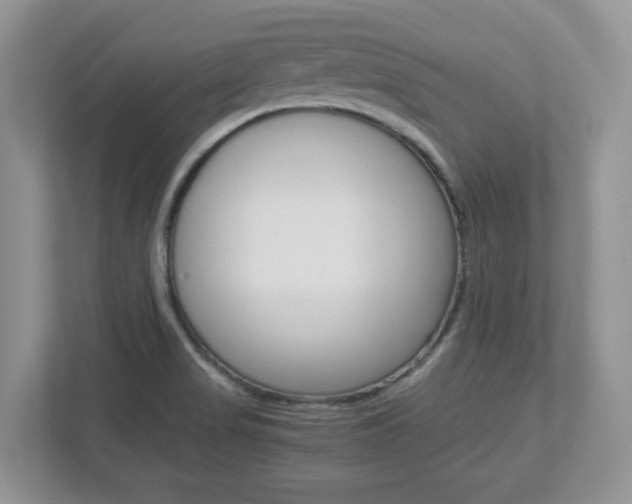 X0000112951517200908241016