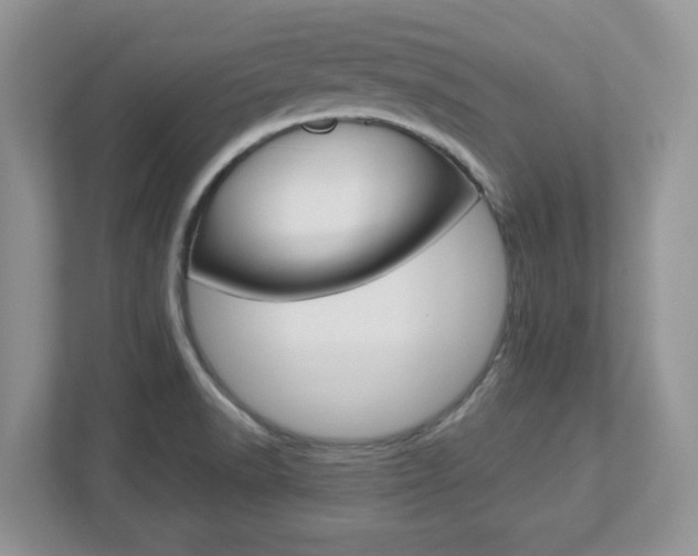 X0000112951518200908241016