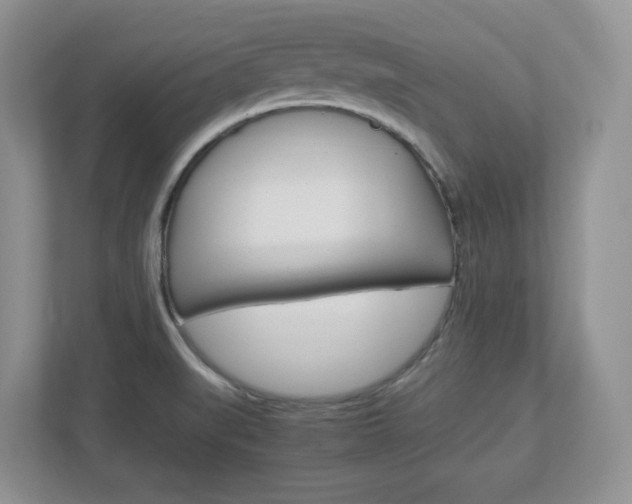X0000112951519200908241016