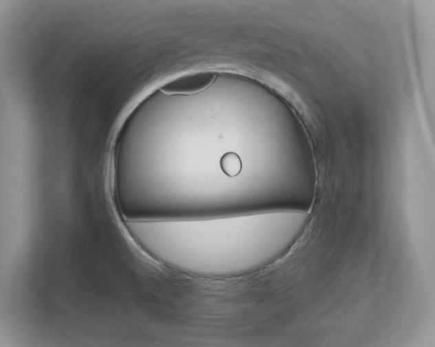 X0000112951520200908241016