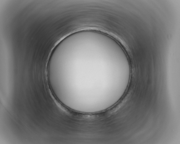 X0000112951521200908241016