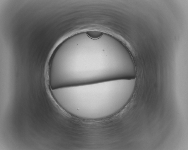 X0000112951522200908241017
