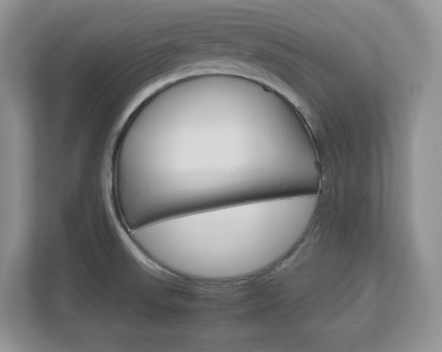 X0000112951523200908241017